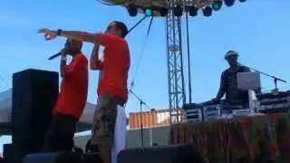 Ludacris live performance ....How Low Can You Go