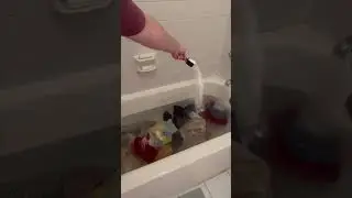 How to Strip Kitchen Towels