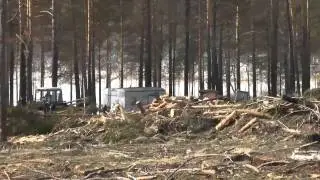 Здесь леса нет...
