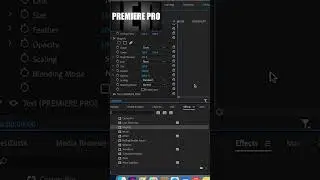 Magnify Text Animation   Magnify Animation   Adobe Premiere Pro Tutorial