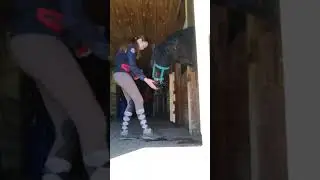 апортировка с лошадью 😊