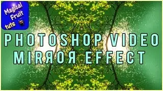 Video Mirror Effect You can make with Photoshop CC