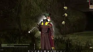 Самое сумасшедшее прохождение Neverwinter Nights. Часть 10 ДУХ ЛЕСА