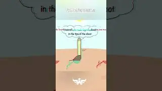 Phototropism | Tropic movement in plants | control and coordination | biology class10 | Fun Science