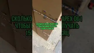 Доход Elphapex DG1 ⚡️ 
