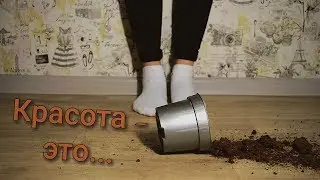 Настоящая красота внутри нас / Арина