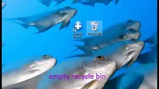 Android data recovery software