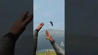 не пантуйся, а действуй