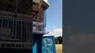 НАШ ПИТОМНИК ПОЧТОВЫХ СПОРТИВНЫХ ГОЛУБЕЙ 47 МИНСК БЕЛАРУСЬ.