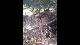 На пути к Неберджаевской 2