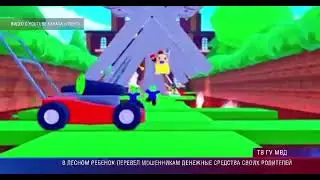 Сюжет программы 