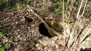 Пруды. Усадьба Петровское.