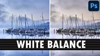 화이트 밸런스(White Balance) [포토샵 TL #37]