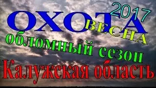 Охота в Калужской области.Весна 2017.Обломный сезон.