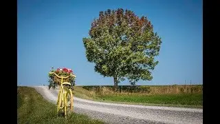 PHOTOGRAPHY COMPOSITION TIPS AND TRICKS - Take Better Photos By Changing Perspective