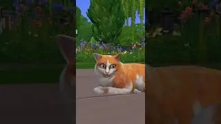 не мешайте котику отдыхать 😂 Симс 4 