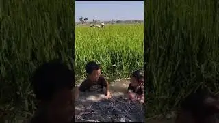 menyanyikan lagu naik kereta api