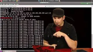 HakTip - Bash Basics: Ping, Date and While