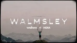 WALMSLEY | THE FILM
