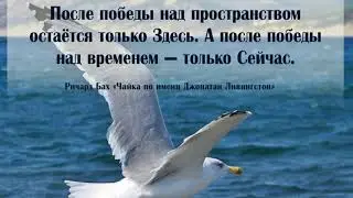 16 вдохновляющих цитат из книги  