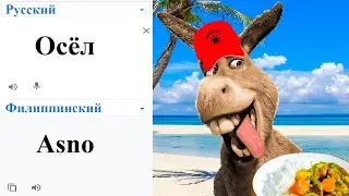 Donkey in different languages ​​meme!
