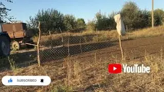 Сколько пастбище нужно для овец , обработка ягнят от чесотки