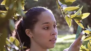 Observe Nature with iNaturalist