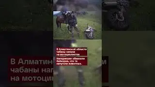 День за минуту (15.07.2024г.)