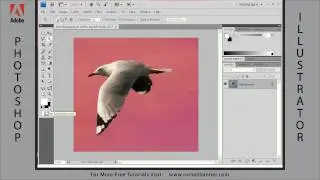 Photoshop CS4 Tutorial - Creating Selections - Part 10 , Quick Mask Mode