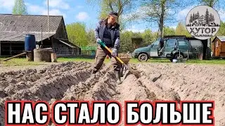 НАС СТАЛО БОЛЬШЕ. ТАК КАРТОШКУ НА ХУТОРЕ ЕЩЁ НЕ САДИЛИ.