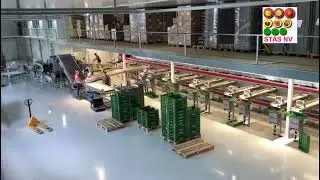Kersensorteerder / Cherry grading