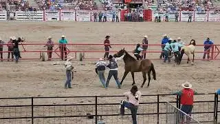 Wild Horse Race. Frontier Days-Cheyenne 7/29/23