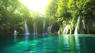 Healing Nature Sounds and Relaxing Music for Natural Relaxation