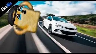 Mi hermano SALTÓ DE UN AUTO