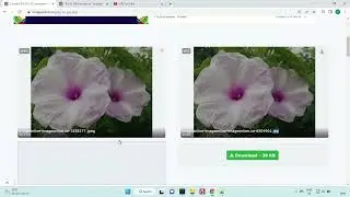 JPEG to JPG - imageonline.co