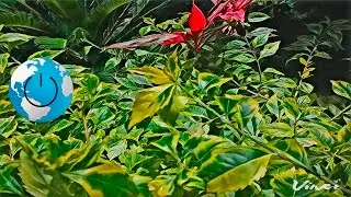 Fotos artísticas | Infimatic Apps #15