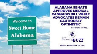 Alabama Senate Approves Medical Cannabis Bill, Advocates Remain Cautiously Optimistic | Morning Buzz