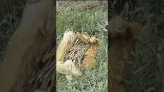 Небольшая нарезка