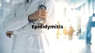 Epididymitis causes testicular pain and swelling