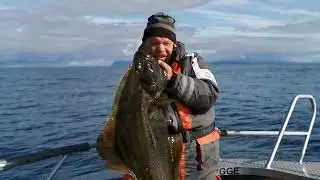 Fishing in Norway - Arnøy Brygge