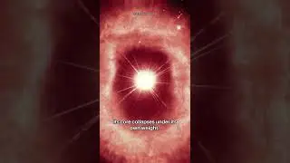 Supernovas: The Death of a Star and Birth of a New Universe #supernova #shorts