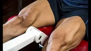 5 Самых лучших упражнений на ноги (Со Звуком)