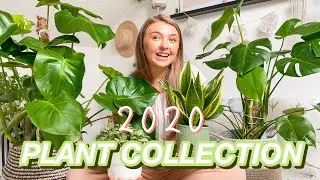 My Plant Colection 2020 - Emily Louise