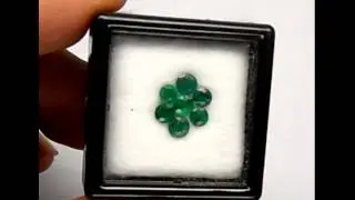 0 98cts  5pcs  Columbia Green Emerald