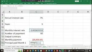 How to use PPMT function on Excel