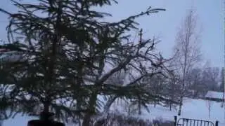 Kaamos Koksveres