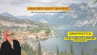 Минутка итальянского: когда molto изменяется?