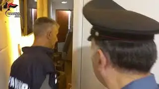 Pomezia. Oltre 1000 piante di cannabis in serra ed altrettante in fase di essiccazione. 11 arresti