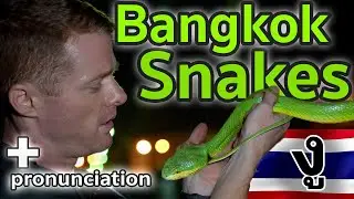 Pronounce ง งู (ng in Thai)