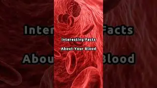 Facts About Human Blood!🩸